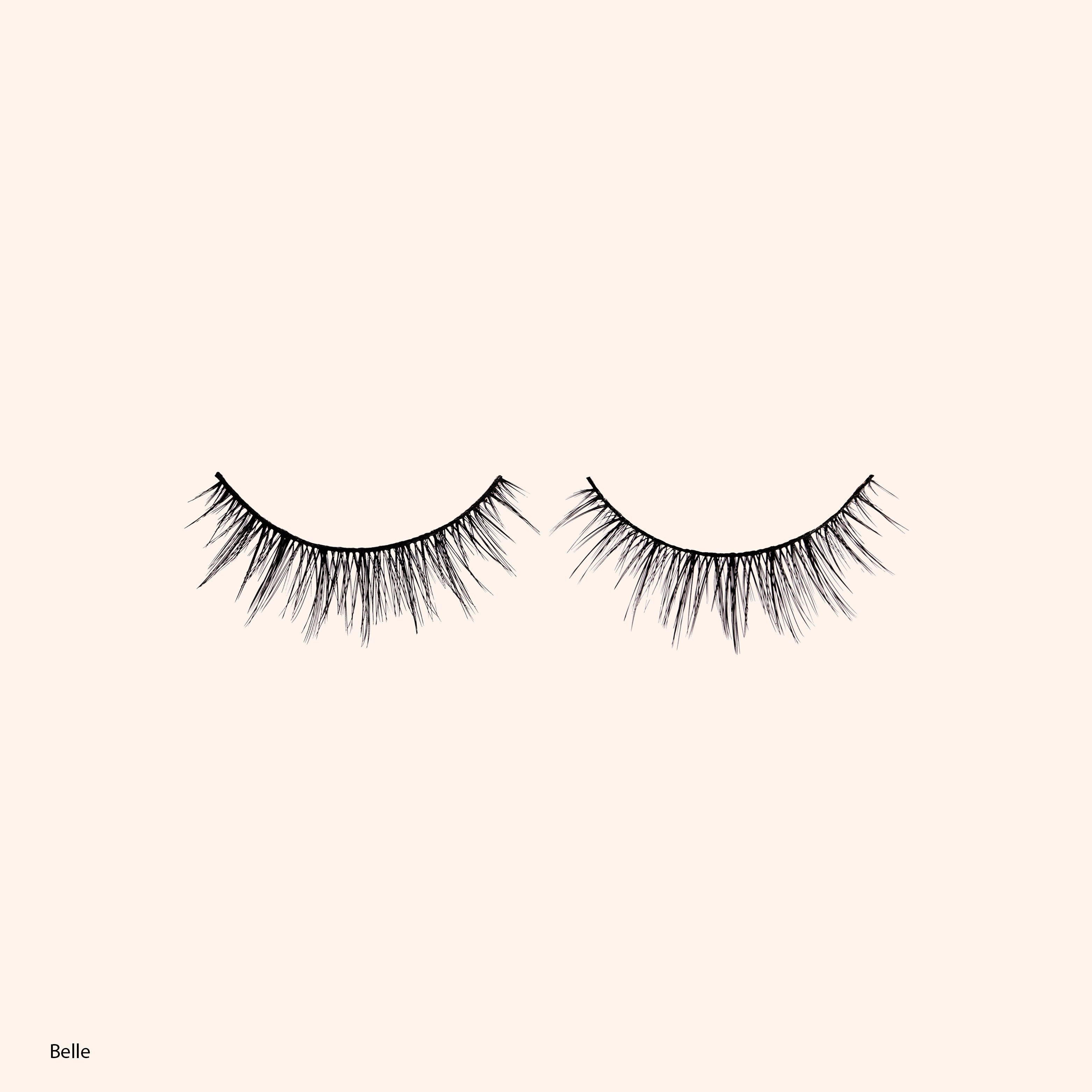 Happily Ever After Lashes - Fairytale Collection (Includes all 5)