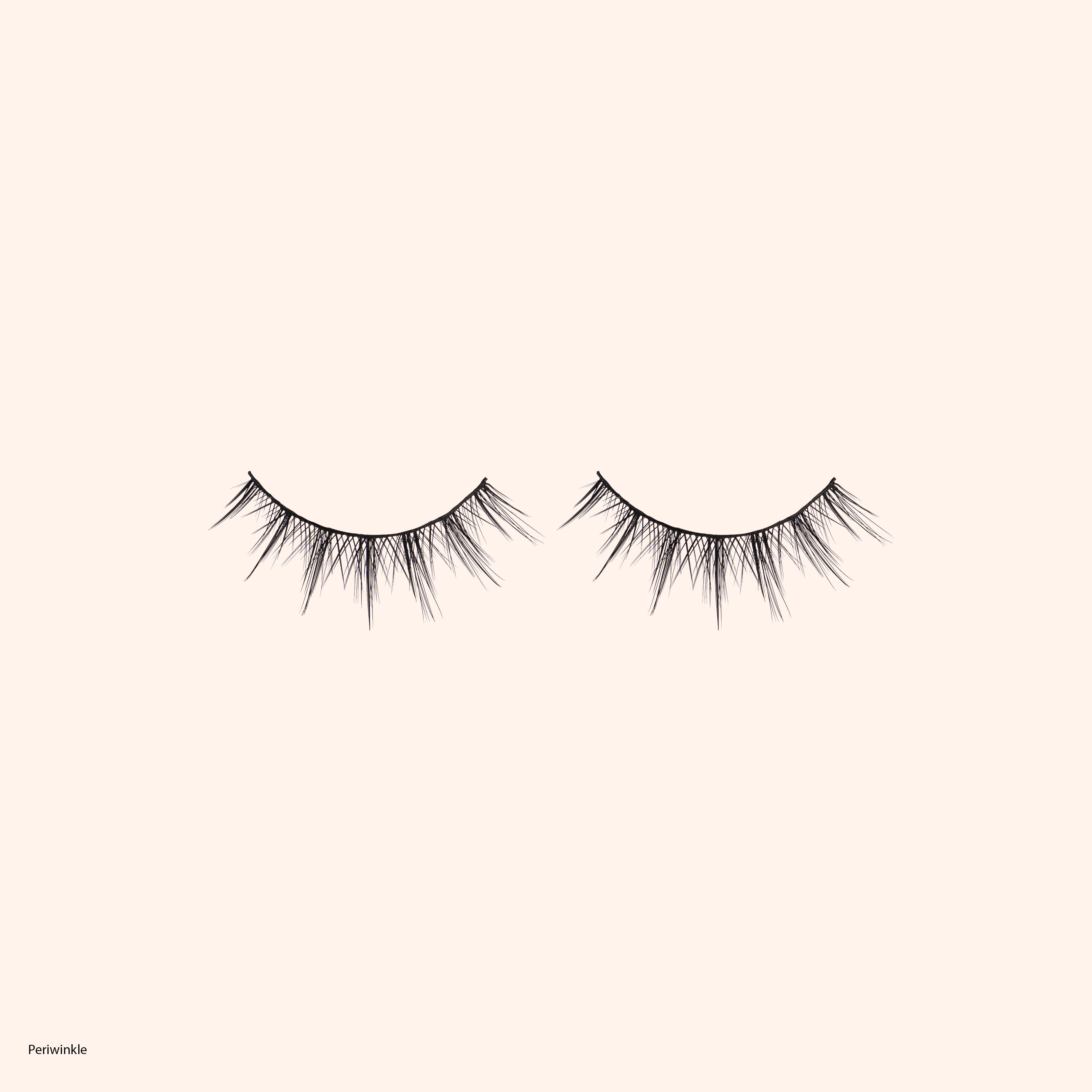 Happily Ever After Lashes - Fairytale Collection (Includes all 5)