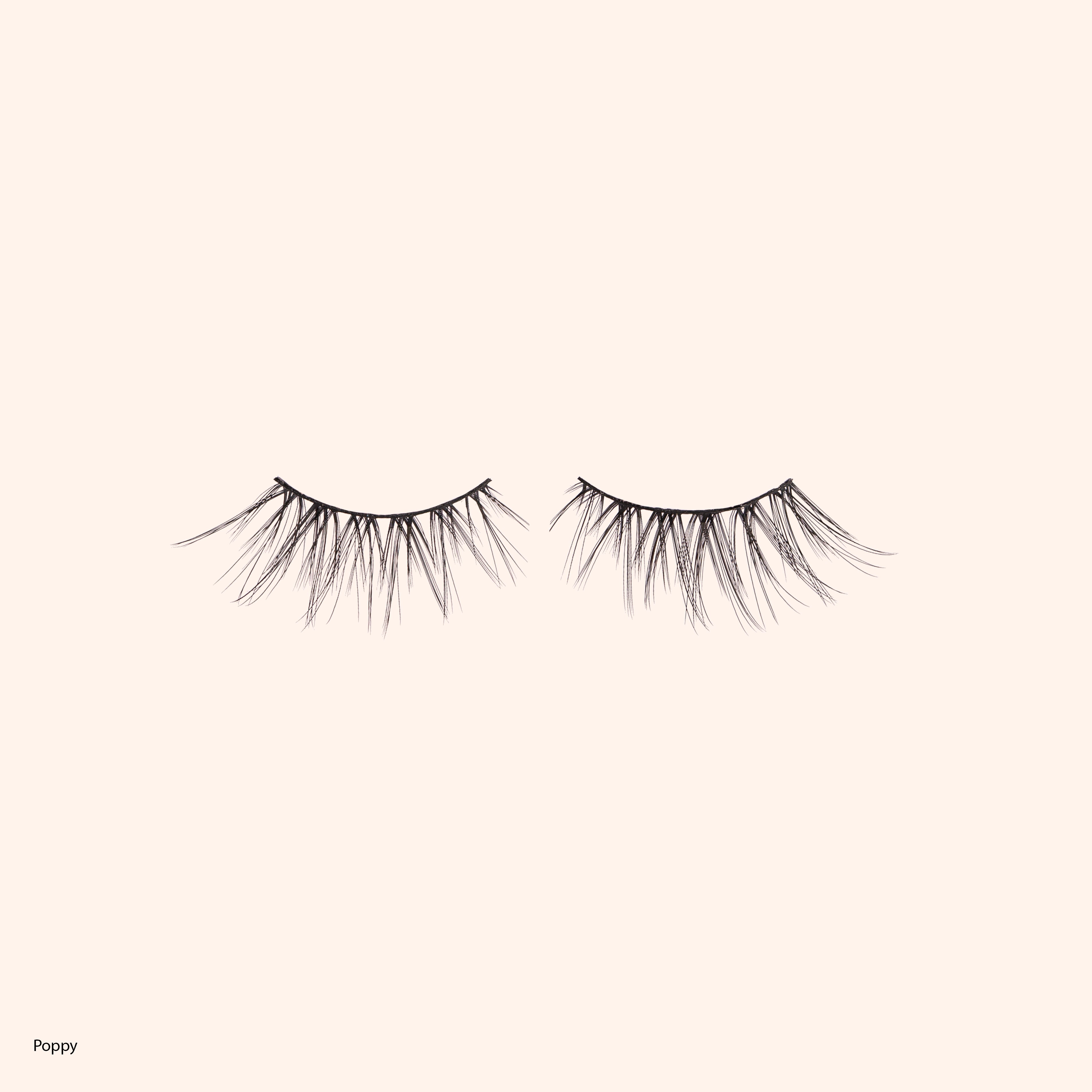 Happily Ever After Lashes - Fairytale Collection (Includes all 5)