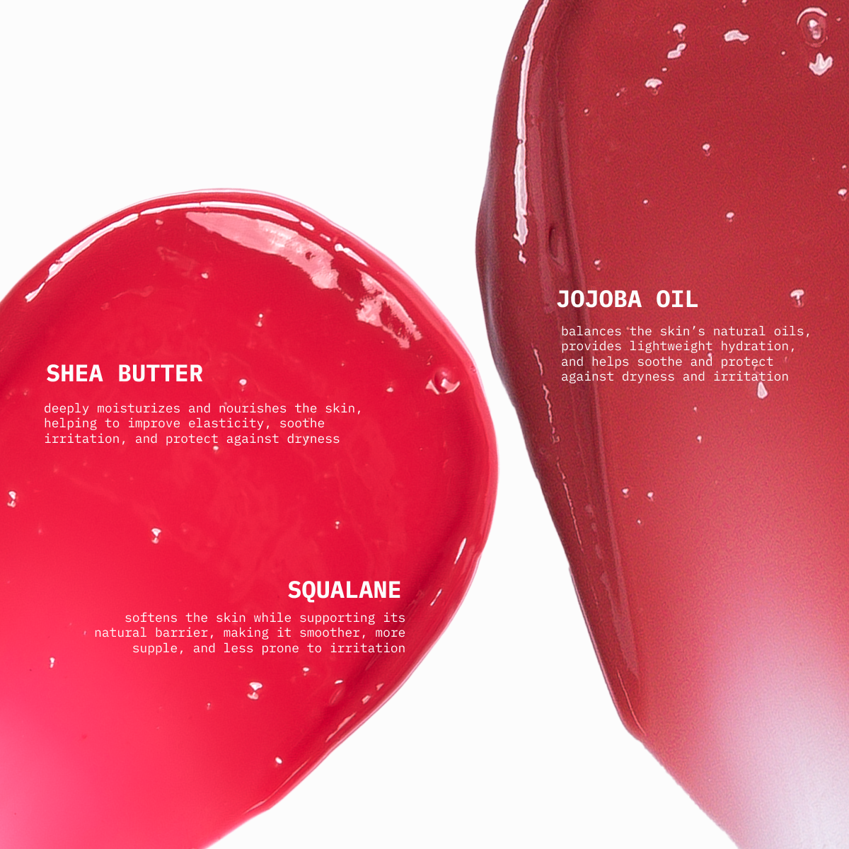 Flora Tint - Tinted Lip Balm