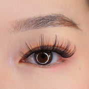 'WKTK' Manga Lash