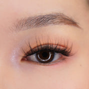 'WWW' Manga Lash