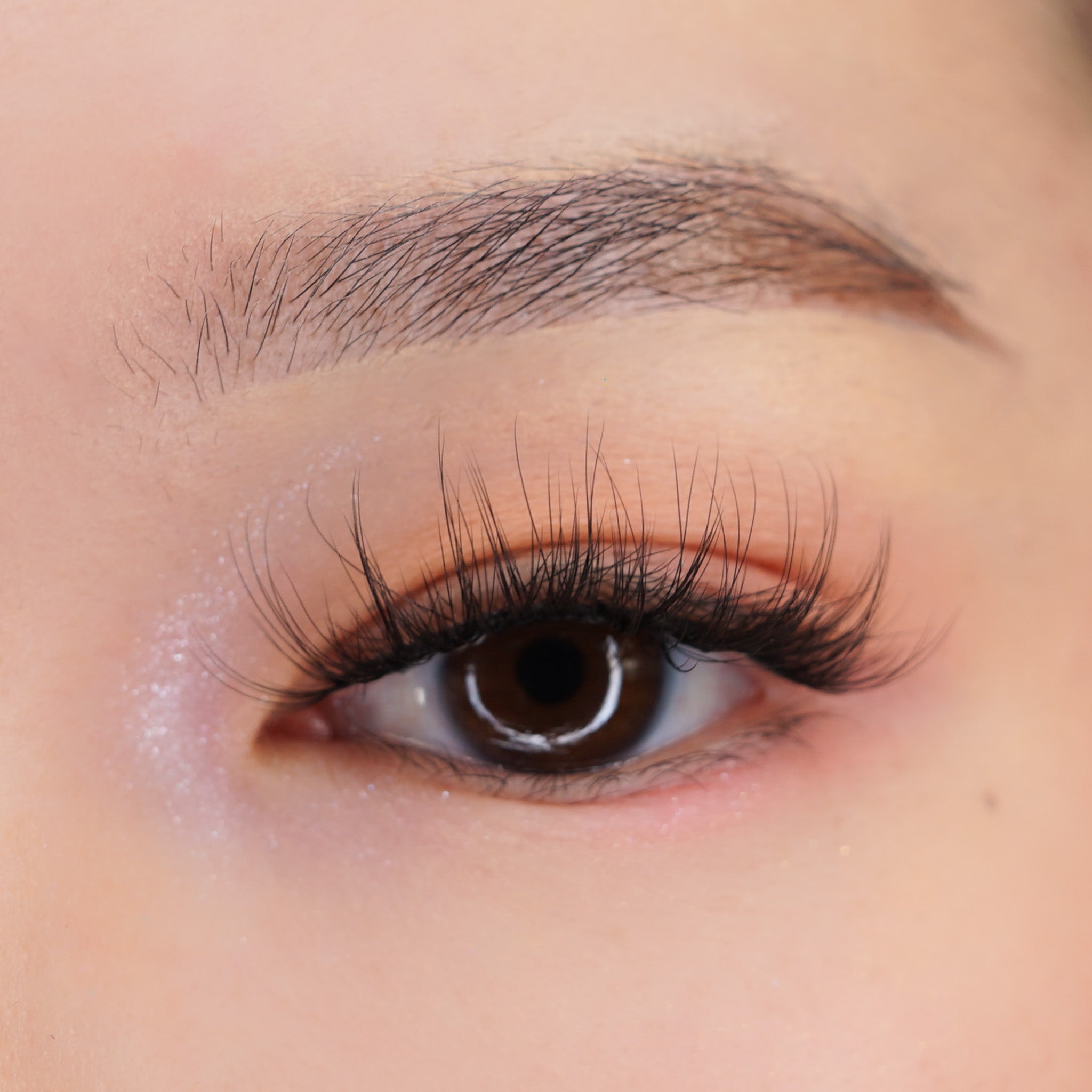 'WWW' Manga Lash