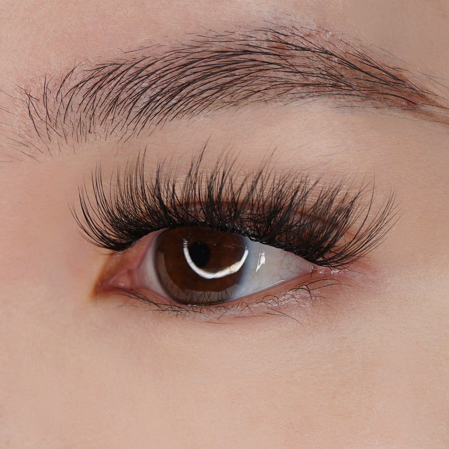 IBL06 GHOSTED Invisible Band Fabulashes 3D Faux Mink Lashes