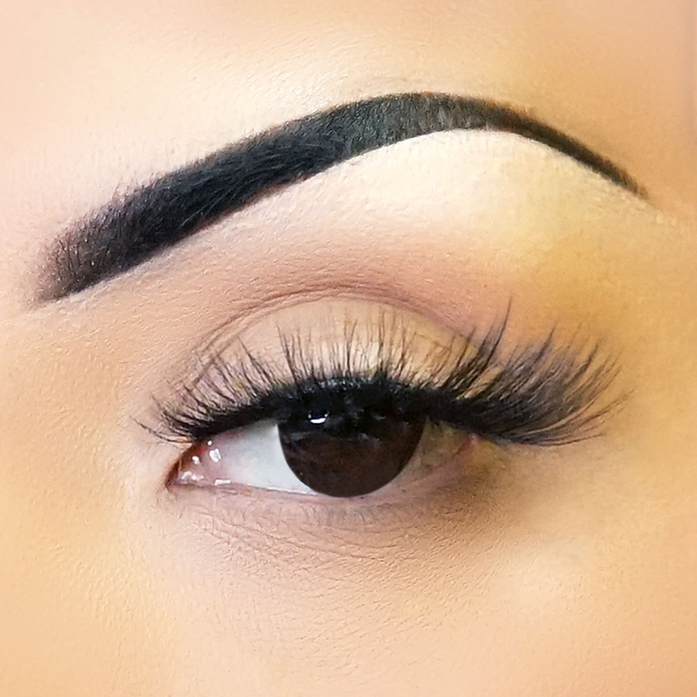 Style A16 Fabulashes 3D faux mink strip eyelashes on model