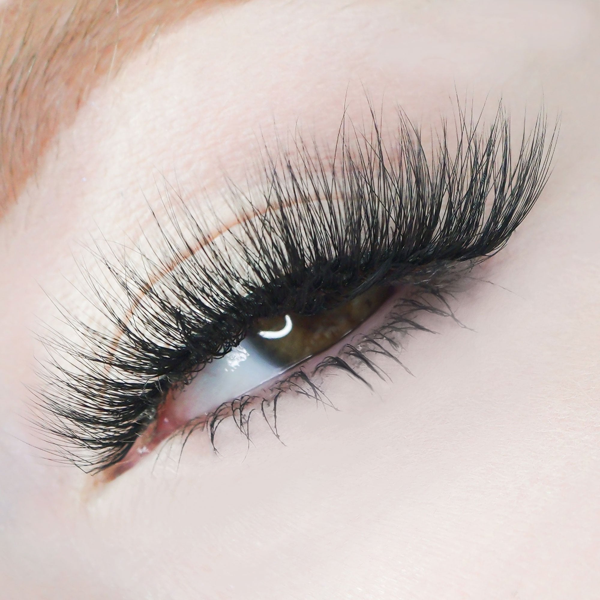 8D Faux mink eyelashes in style "SC" on model