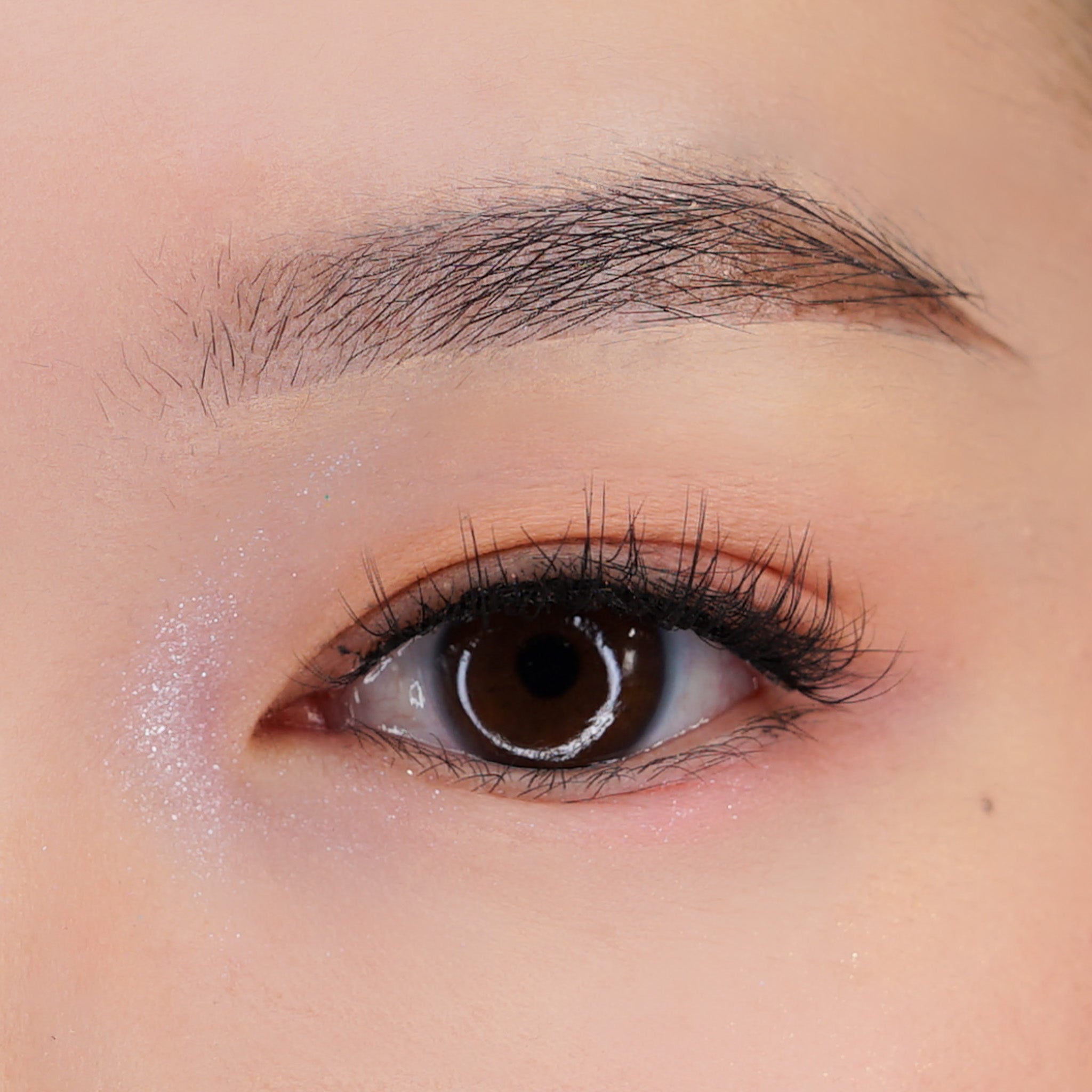 'Meccha' Manga Lash
